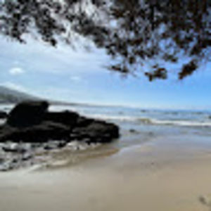 Meet your Posher, Deanne